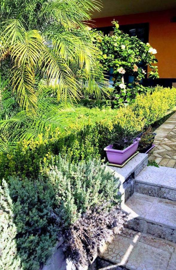 Sandel Apartment Catania